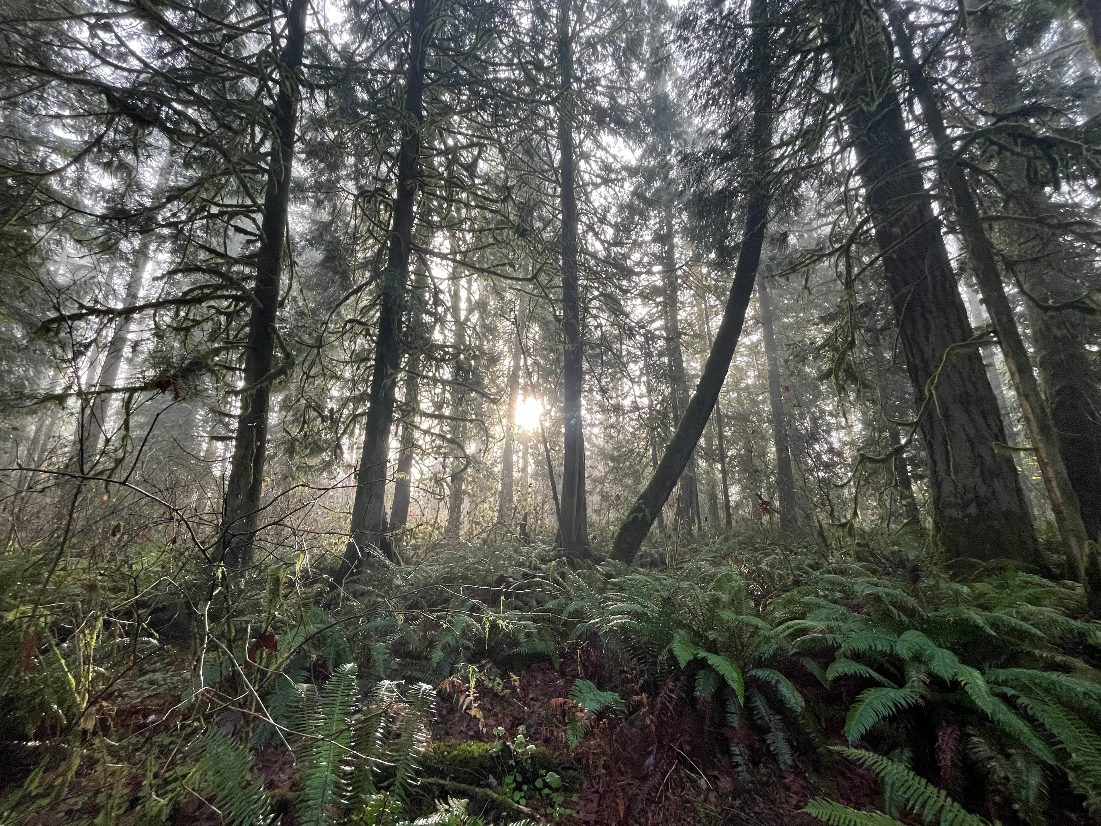 After the storm
