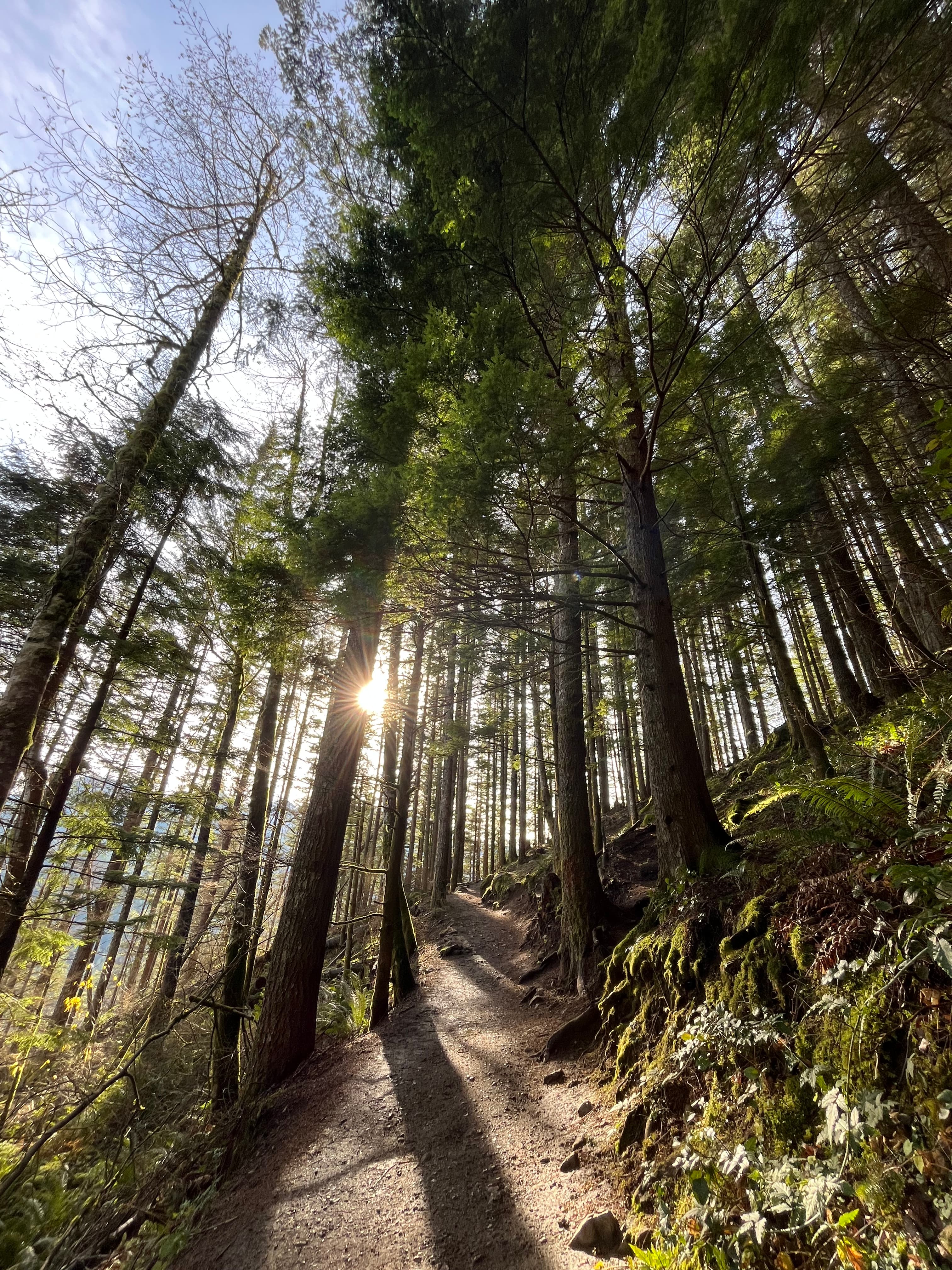 Rattlesnake Ledge